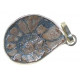  Ammonite en pendentif