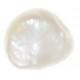 Perle blanche