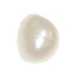 Perle blanche