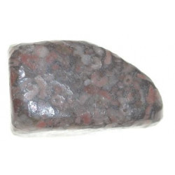 Encrine (fossile)