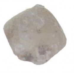 Lophrothyris subsella