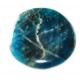 Apatite bleue
