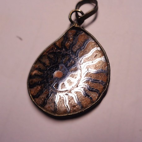 Ammonite en pendentif