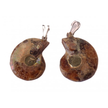Ammonite en pendentif 2 pièces
