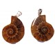 Ammonite en pendentif 2 pièces