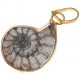 Ammonite montée en pendentif