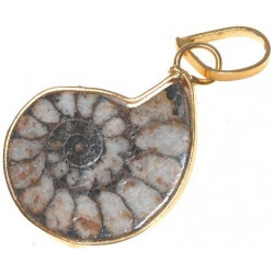 Ammonite montée en pendentif