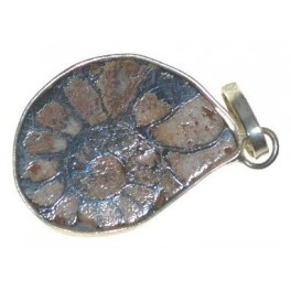  Ammonite en pendentif